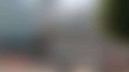 Tras 37 años de historia, comienza demolición de la Plaza de Toros “El Relicario”