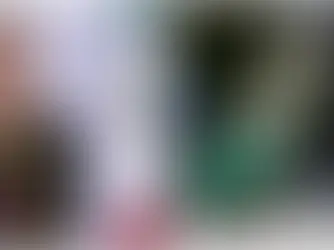 El pato “Merlín”, la mascota no oficial del Mundial invitada por Sheinbaum a la mañanera