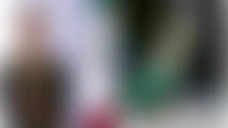 El pato “Merlín”, la mascota no oficial del Mundial invitada por Sheinbaum a la mañanera