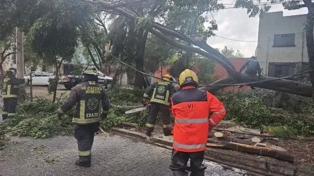Gobierno de Pepe Chedraui atiende incidencias por lluvias y vientos