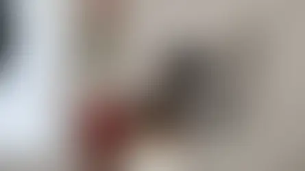 Es prioridad buena relación con EU, en el marco de respeto a nuestra soberanía: Sheinbaum