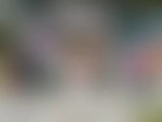 MariElise Budib y Pepe Chedraui colocan la primera piedra de desayunadores escolares transitorios