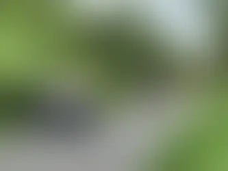 Hallan tres cuerpos con huellas de violencia en la carretera Cuernavaca-Cuautla