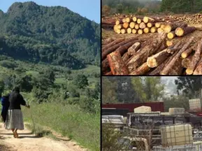 Sierra Norte de Puebla: de paraíso natural a foco rojo de inseguridad