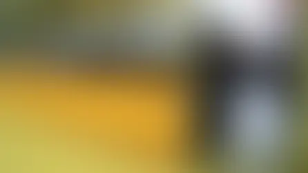 Maestros son descubiertos haciendo trampa en examen para la promoción docente