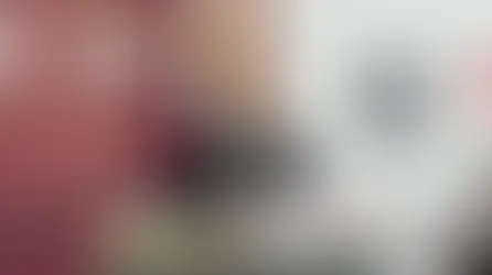 Puebla espera definiciones para participar en la segunda etapa del proyecto Olinia