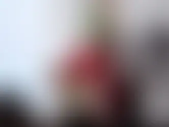 SCJN debe aplicar la ley al resolver juicios fiscales de Grupo Salinas: Sheinbaum