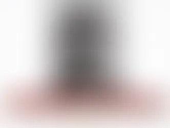 Vinculan a proceso a José Daniel N. por atropellar intencionalmente a un perro en Puebla