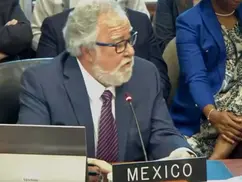 México rechaza considerar crisis de Nicaragua una amenaza regional ante la OEA