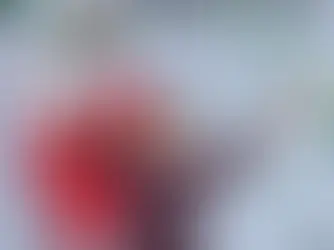 Día de fiesta para los cuatroteístas que acudieron al Zócalo a arropar a Sheinbaum