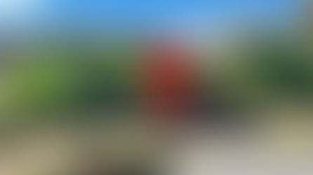 OOSL refuerza limpieza con jornada integral de chapeo y barrido en colonia Santa Margarita