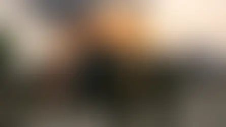 Incendios forestales arrasan Chile: van 19 muertos y el fuego no ha sido controlado