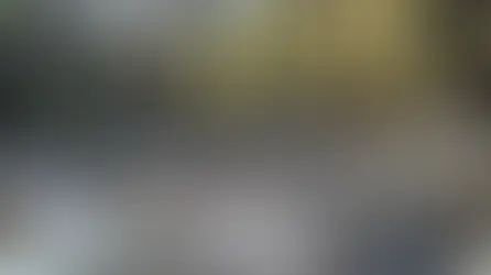 Los agentes de la CIA que murieron en Chihuahua entraron a México sin permiso para operar, afirma el Gobierno federal