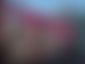 Gobierno de Pepe Chedraui invita a regularizar anuncios en el Centro Histórico