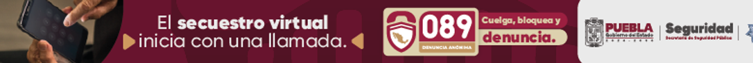 SECUESTRO VIRTUAL-_960X66.png