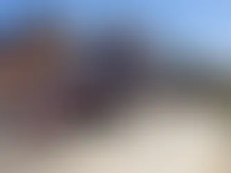 Atiende Protección Civil Municipal reportes de caída de árboles en diversas zonas de la ciudad