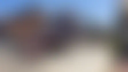 Atiende Protección Civil Municipal reportes de caída de árboles en diversas zonas de la ciudad