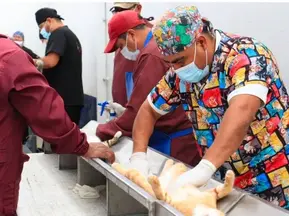 Con el liderazgo de Pepe Chedraui, Puebla fortalece el bienestar animal con más de 200 jornadas de protección animal
