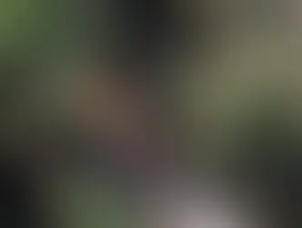 Piden a nuevo fiscal de Morelos agilizar caso por caída de puente colgante