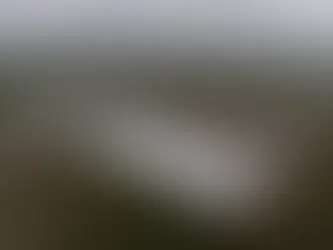 Así es la prisión Alligator Alcatraz: EU publica primeras fotos aéreas