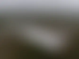 Así es la prisión Alligator Alcatraz: EU publica primeras fotos aéreas