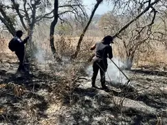 Policía Estatal Forestal controla y extingue dos incendios en Libres y San Pedro Cholula