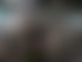 Empresas de mensajería, implicadas en contrabando de mercancías por el AICM