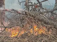 Incendio consume 12 hectáreas de vegetación en predio de Acatlán