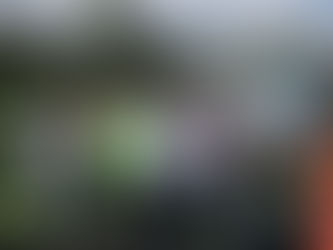 Supervisa Ayuntamiento de Puebla labores de desazolve y limpieza en el vaso regulador Puente Negro