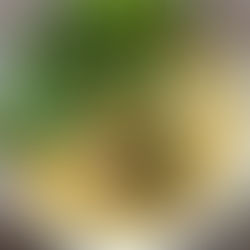 Chanterelle and Potato Stew