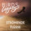 Thumbnail: Strömende Flüsse Piano Album Birds Legacy Jonas Derksen Sheetmusic
