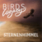 Sternenhimmel Piano Album Birds Legacy Jonas Derksen Sheetmusic