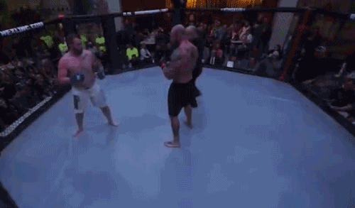 Wheel Kick.gif