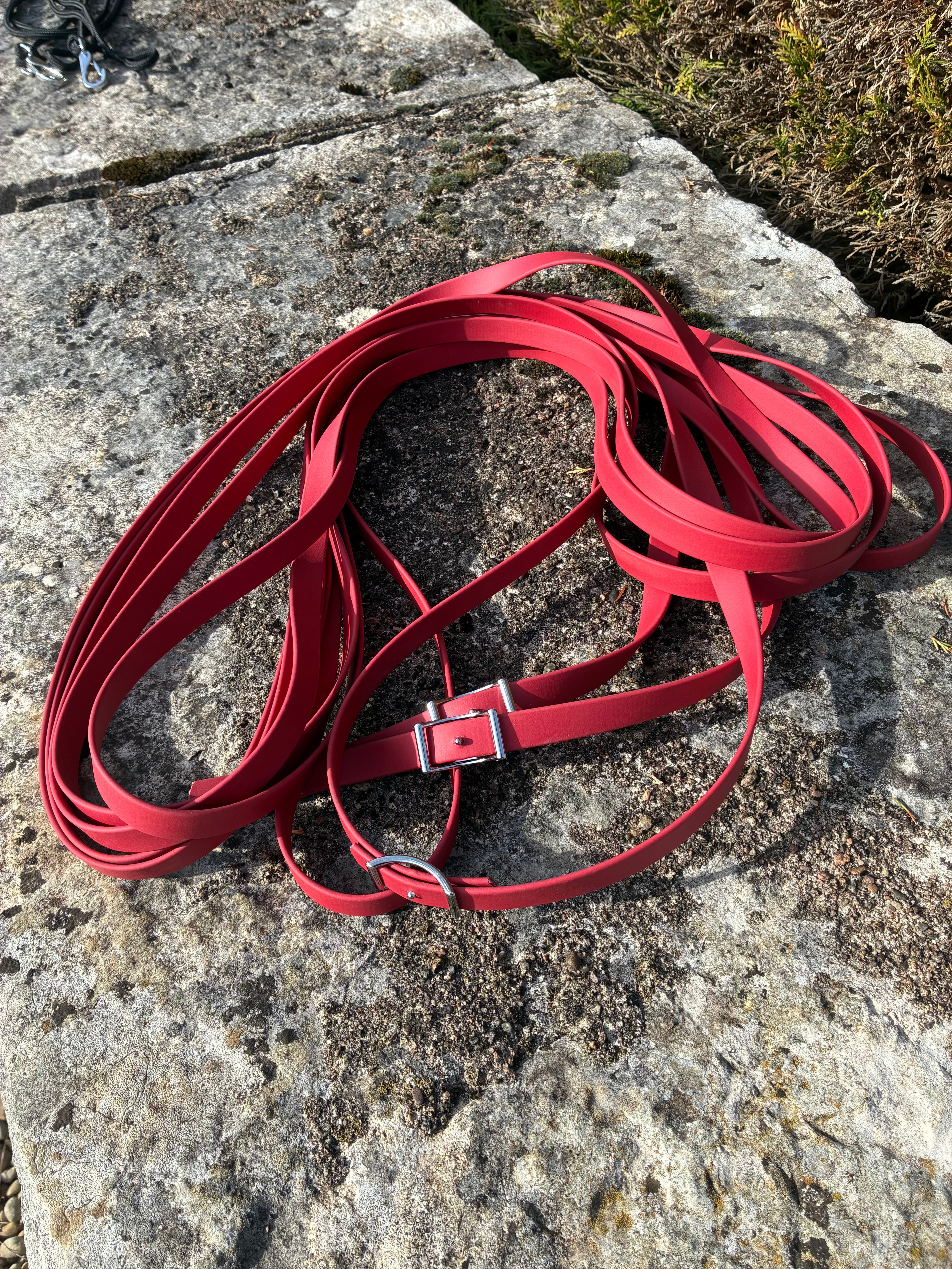 Rallonges pour longues rênes