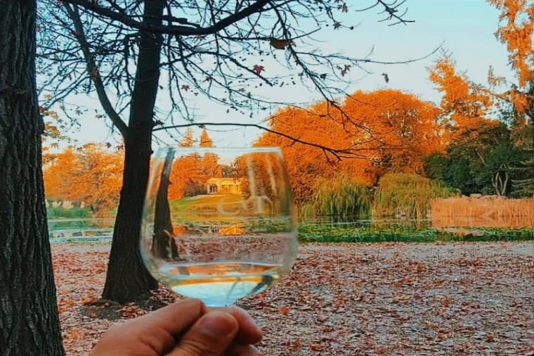 Miniatura: Vinícolas Concha Y Toro / Undurraga