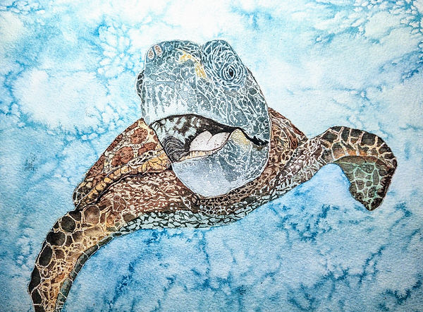 So close turtle