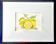 Bunch of Lemons