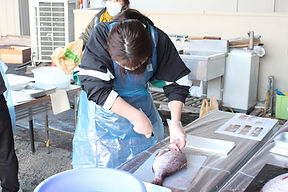 魚さばき.jpg
