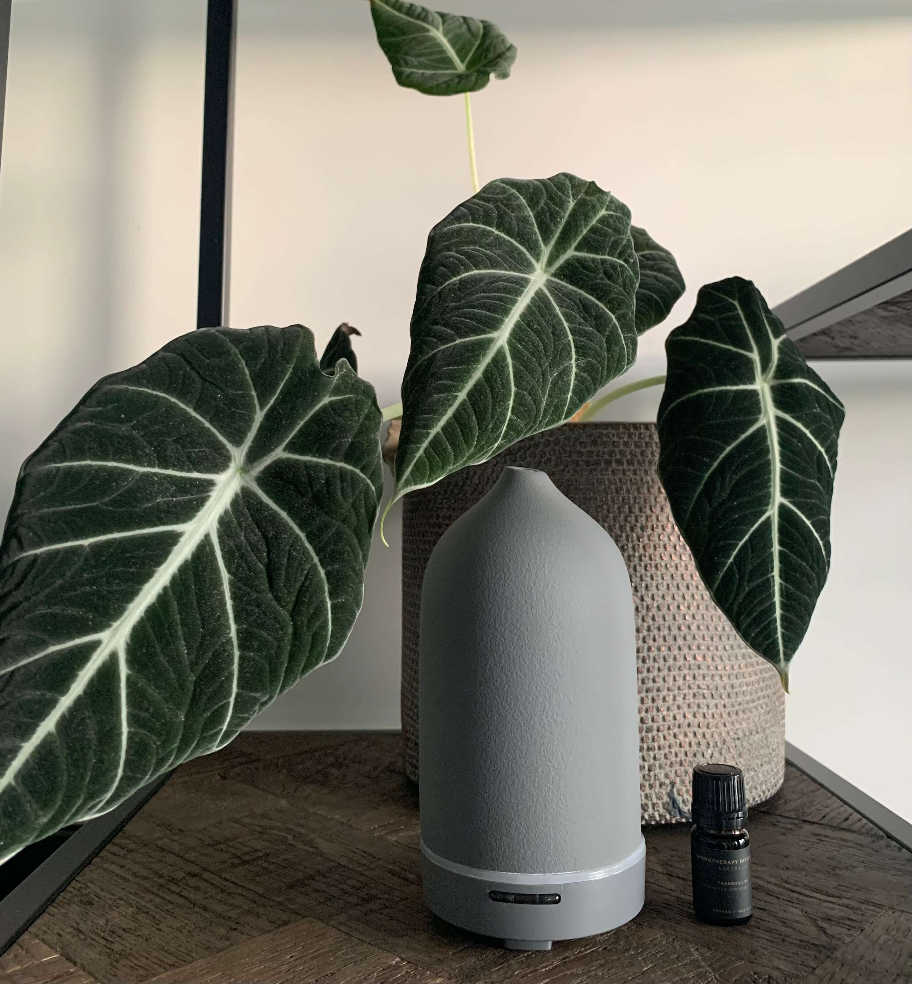 Natural Porcelain Diffuser