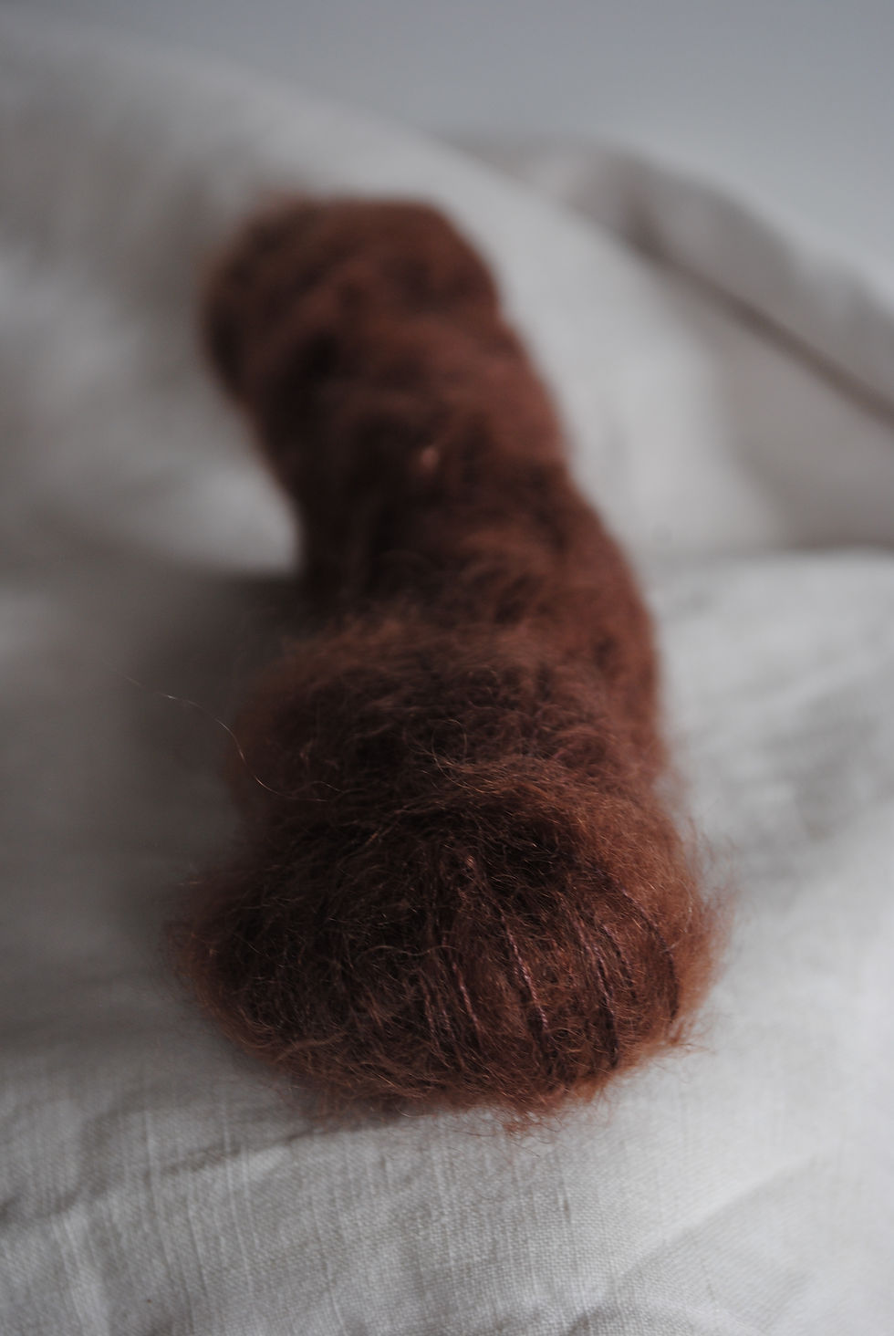 MS - noix de galle/garance