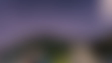 إتقان الصانع ودعوى الصدفة