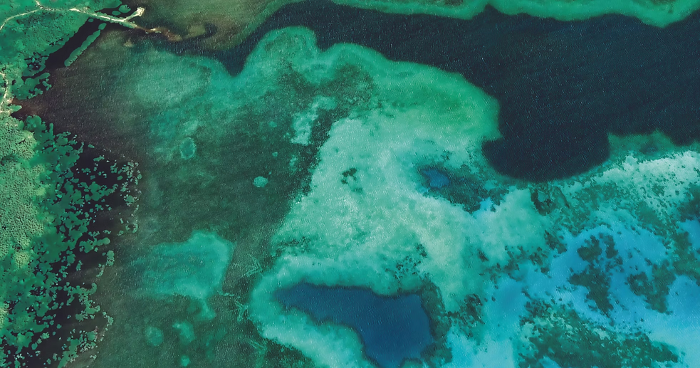 Screenshot 2026-01-11 at 9.13.09 PM.png