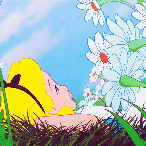 00ba41d0e80e718f4684202de791a706.gif