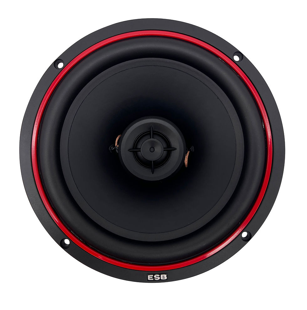 סט רמקולים 6.5 אינץ' | ESB 3.6C