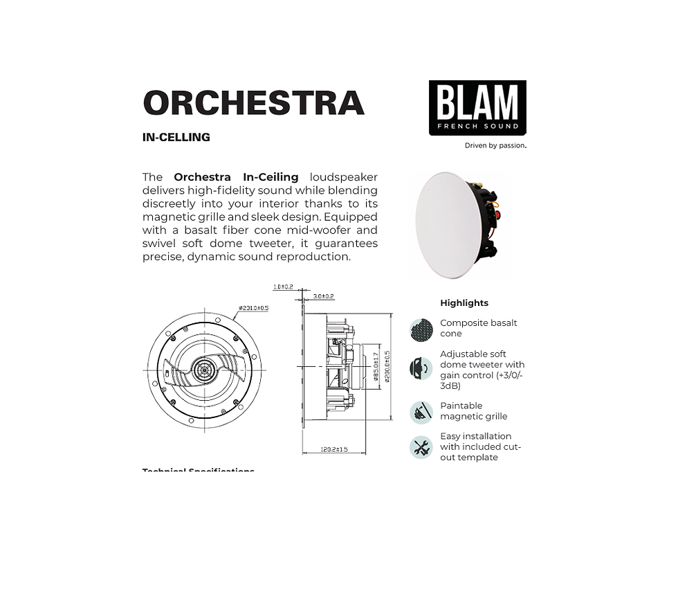 BLAM AUDIO ORCHESTRA – רמקול שקוע עילי באיכות גבוהה