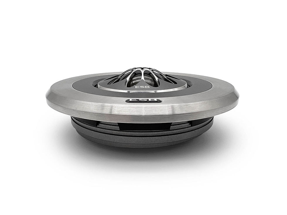 תמונה ממוזערת: ESB Audio 9.1T-28 – טוויטר Dome היי-אנד 1.1״ / 28 מ״מ