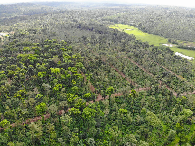 Managed Farmland For Sale in Karnataka Swasya Living