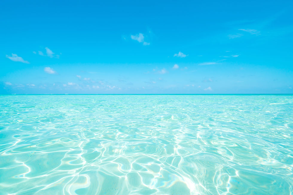1P-トップ-海.jpeg