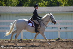 End of Hunt IEA Show 9-25-16 (50 of 288).JPG