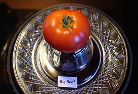 Big Beef.JPG